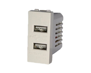 ابريز شاحن مزدوج (USB)