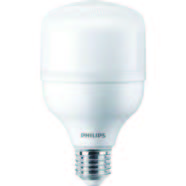 TrueForce Core LED Industrial  25W  6500K