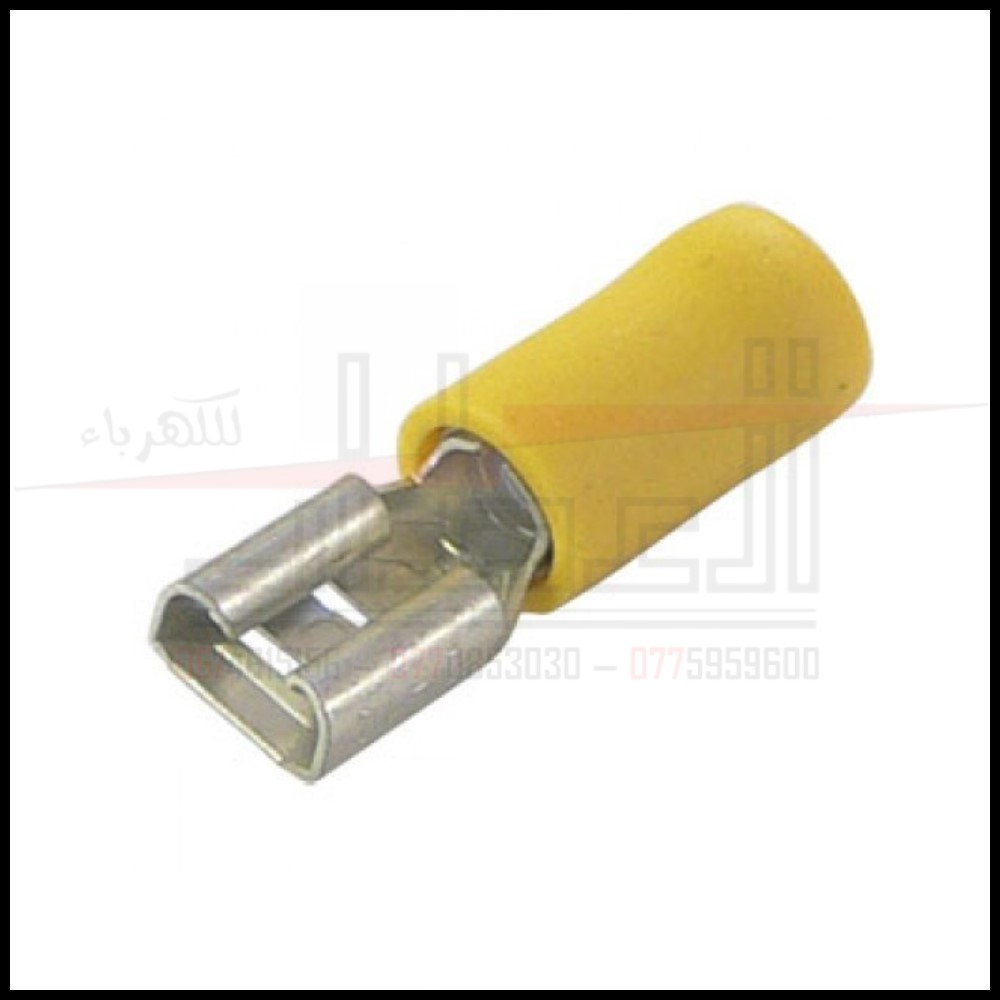 راسیة انثى معزولة صیني